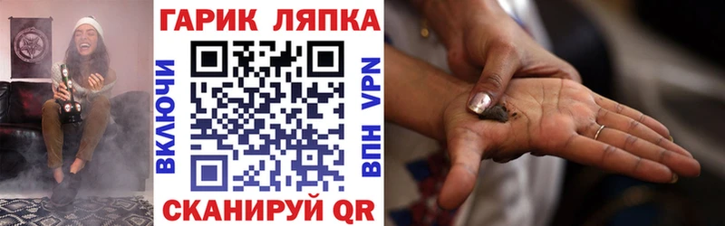 Купить где Лосино-Петровский ГАШ 40% ТГК