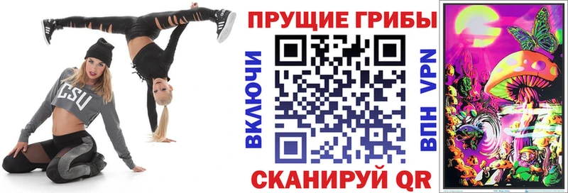 Галлюциногенные грибы Psilocybe  Купить где  Лосино-Петровский 